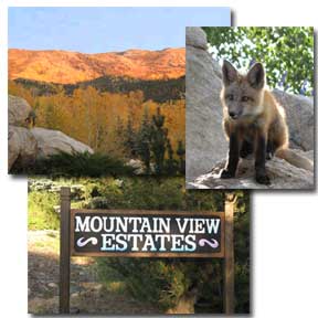 Collage of three
      area scenes